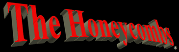 TheHoneyCombs.com